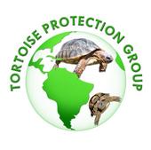 tortoiseprotectiongroup.jpg